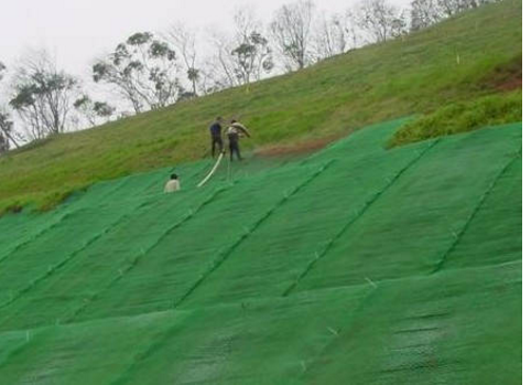 三维植被网护坡绿化工程